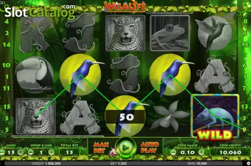 Win Screen 2. Wildlife slot