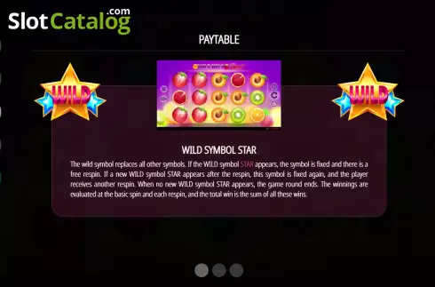 Game Features screen. Wild Wild Best slot