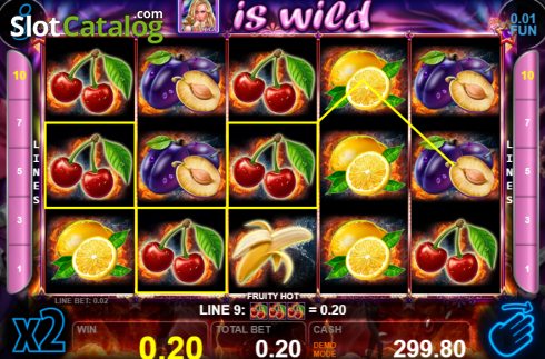 Win screen 2. Fruity Hot (CT Gaming) slot