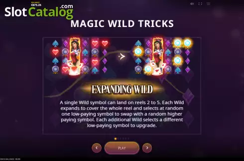 Expanding Wild screen. Magnificent Wild slot