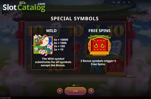 Special symbols screen. Lucky Mahjong slot