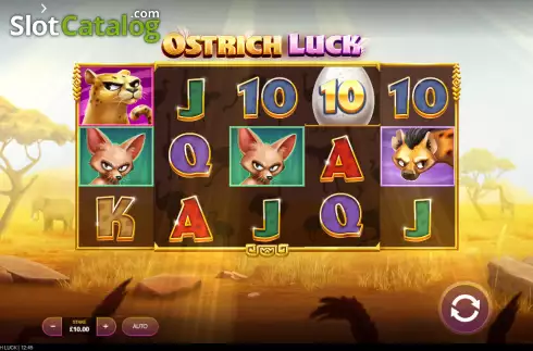 Reels screen. Ostrich Luck slot