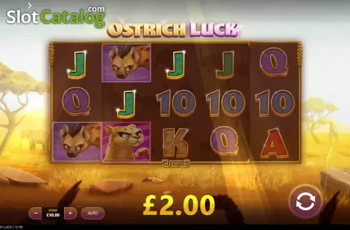 Win screen. Ostrich Luck slot