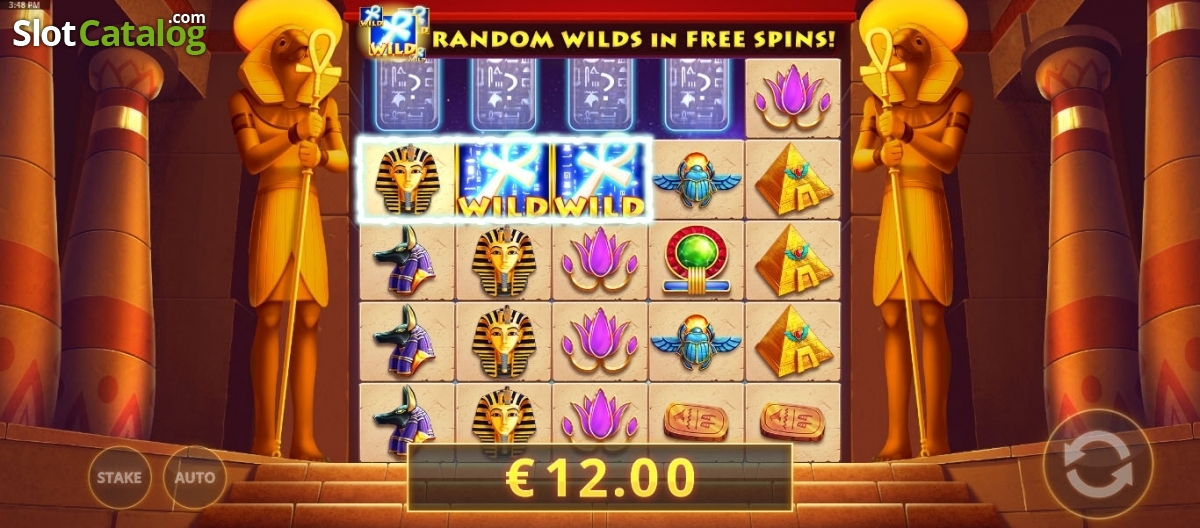Egyptian wilds slot machine online cayetano gaming doubledown