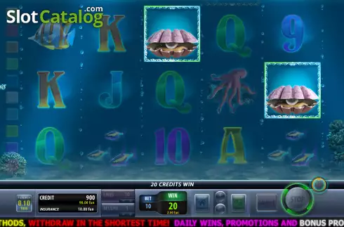 Win screen. Dolphins Shell slot