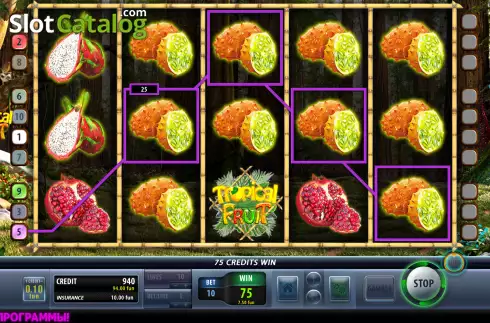 Win screen. Tropical Fruit (Champion Studio) slot