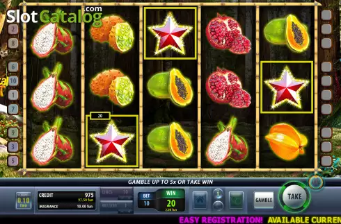 Win screen 2. Tropical Fruit (Champion Studio) slot