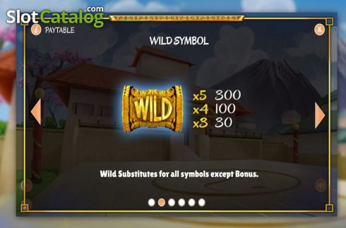 Wild Symbol. Twin Dragons slot