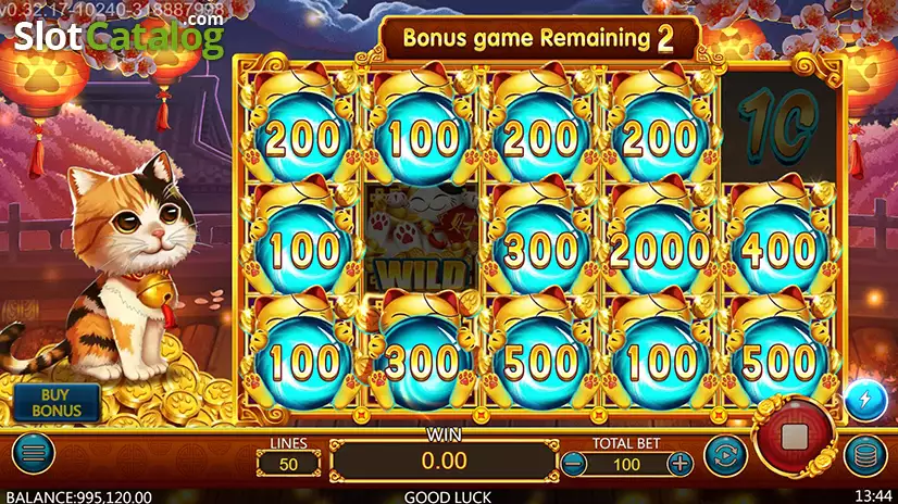 Coin Cat Slot