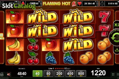 Win screen 2. Flaming Hot 6 reels slot