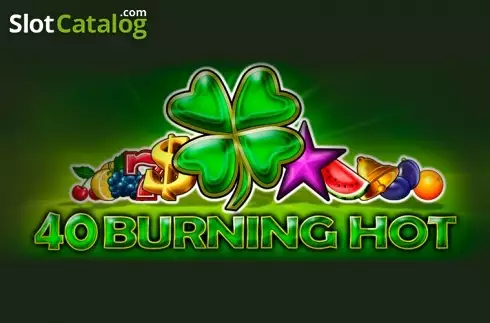 40 Burning Hot логотип