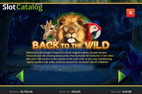 Features 1. Back To The Wild slot