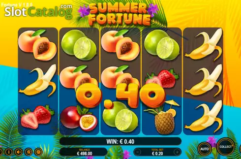 Win screen. Summer Fortune slot