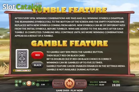 Risk game screen. Big Game Safari (Eurasian Gaming) slot