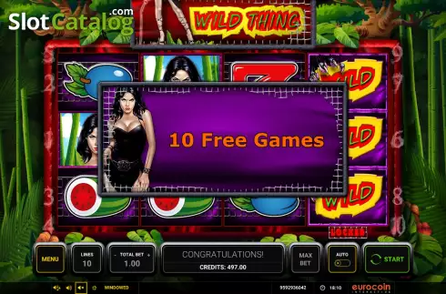 Free Spins. Wild Thing slot