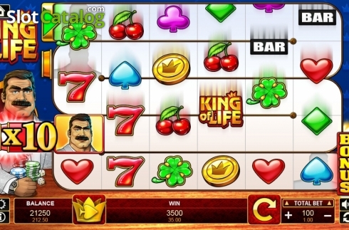 Bonus Game. King of Life slot