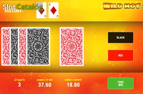 Risk/Gamble game screen. Wild Hot 40 slot