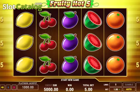 Game screen. Fruity Hot 5 slot