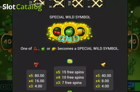 Wild symbol screen. Wild Lucky Clover slot