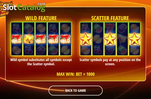 Game Features screen. Fruits and Stars 20 Deluxe slot