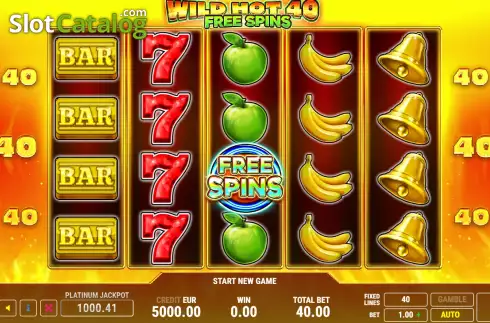 Game screen. Wild Hot 40 Free Spins slot