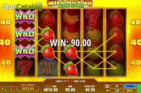 Win screen. Wild Hot 40 Free Spins slot