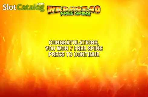 Free Spins screen. Wild Hot 40 Free Spins slot