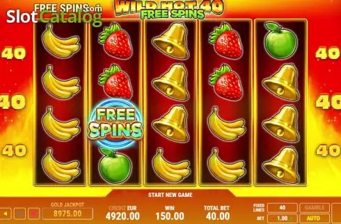 Free Spins screen 3. Wild Hot 40 Free Spins slot