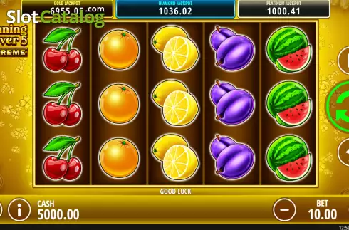 Game screen. Winning Clover 5 Extreme slot