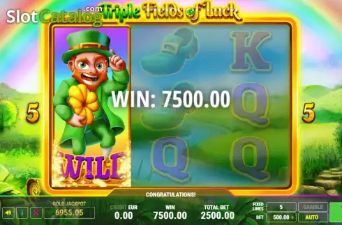 Win screen. Triple Fields of Luck slot