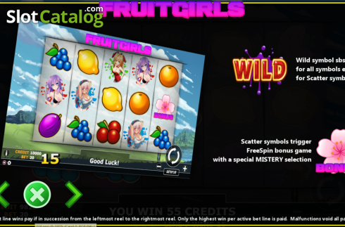 Features 1. Fruit Game slot