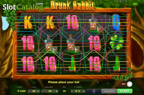 Reels Screen. Drunk Rabbit slot