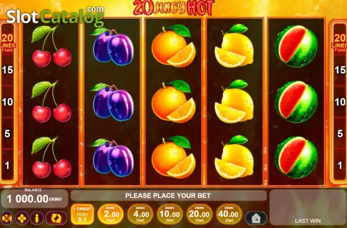 Game screen. 20 Juicy Hot slot