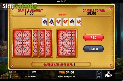 Gamble / Risk Game screen. Millionaire Super Wins slot