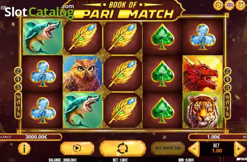 Game screen. Book of Parimatch slot