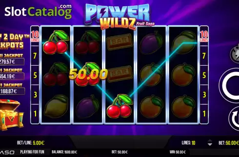 Win screen 2. Power Wildz: Fruit Saga slot