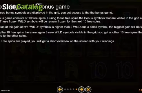 Bonus Game. Farahs Adventure slot