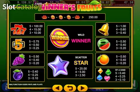 Schermo5. Winner's Fruit slot