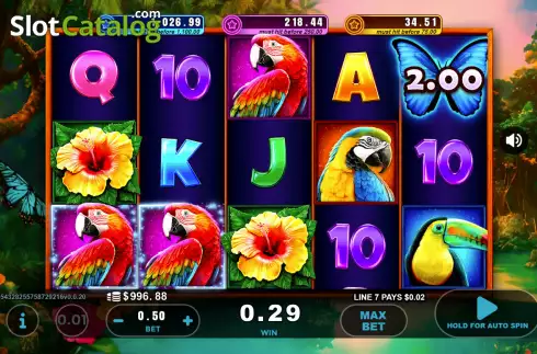 Скрін3. Flamingo слот