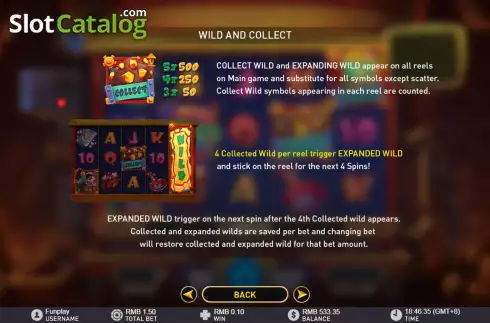Expanded wild screen. Mine of Riches slot