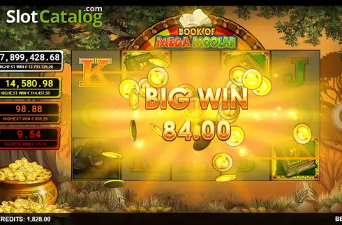Big Win. Book of Mega Moolah slot