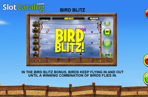 Bildschirm6. Birdz slot