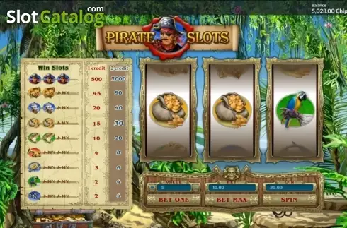 Reels screen. Pirate Slots slot