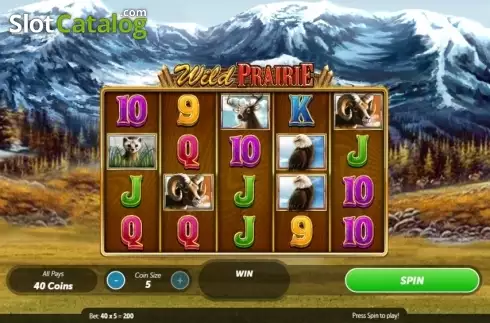 Game Workflow screen . Wild Prairie slot