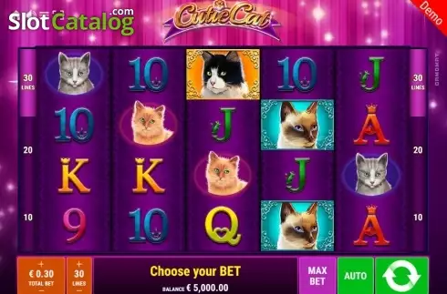 Bildschirm2. Cutie Cat slot