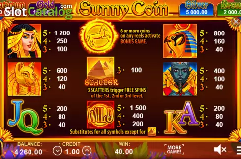 Paytable screen. Sunny Coin: Hold The Spin slot