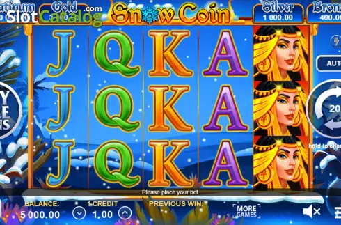 Reel screen. Snow Coin: Hold The Spin slot
