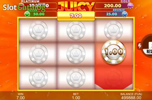 Bonus Game Win Screen 3. Juicy Win: Hold The Spin slot