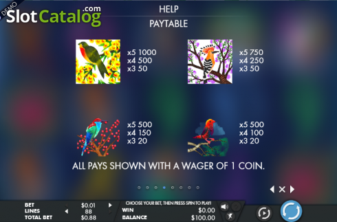 Paytable 4. Birds Blooms slot