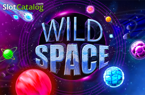 Wild Space Logotipo